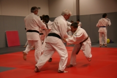 60 ans du Judo D.A. Montesson